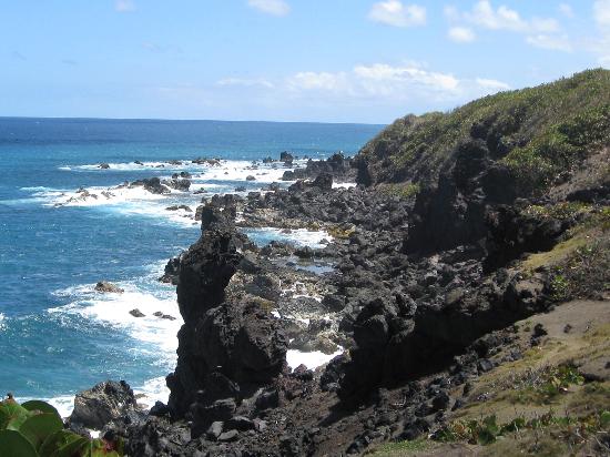 UPGRADES TO BLACK ROCKS TO ENHANCE BOTH VISITOR AND VENDOR EXPERIENCE ...