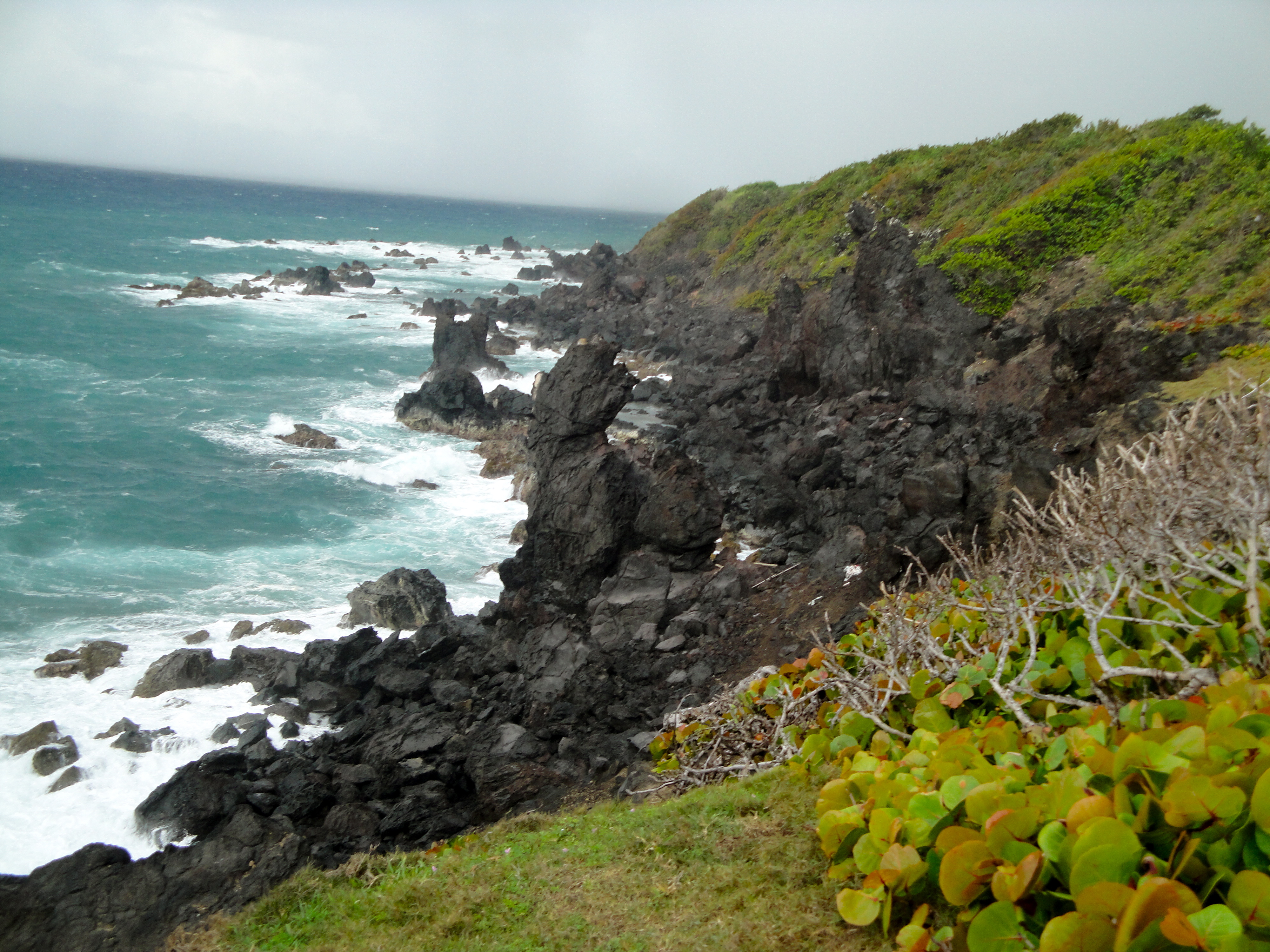 Black Rocks California black rocks – Times Caribbean Online
