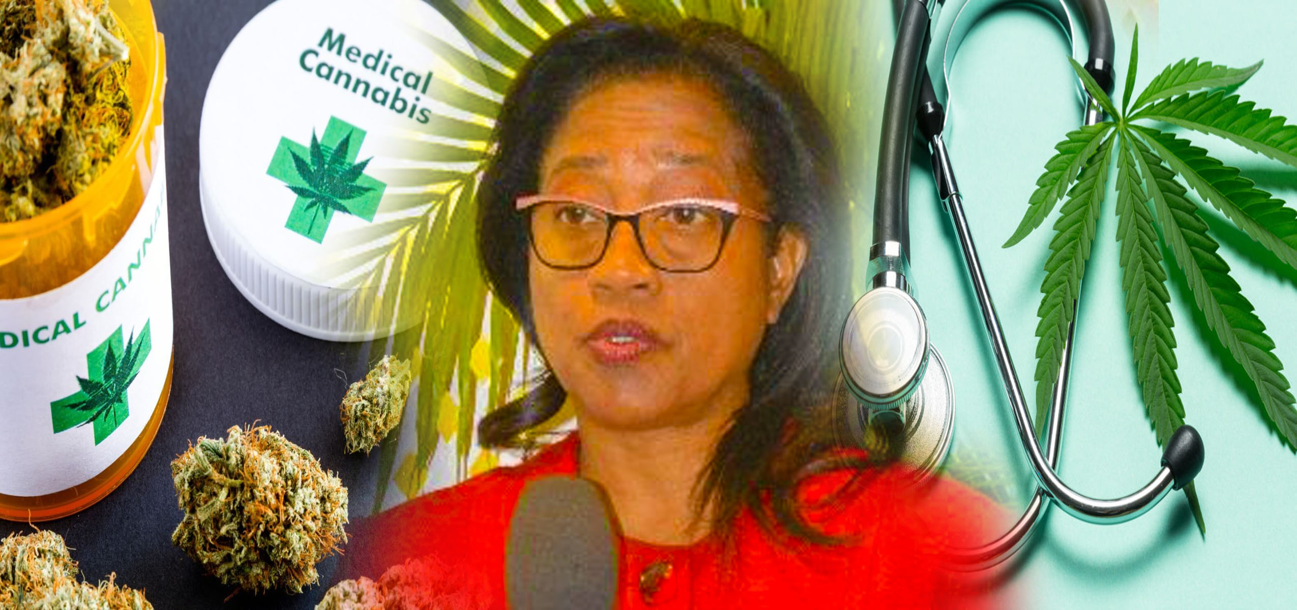 MEDICAL GANJA TO BE MANAGED WITHIN A REGULATED SYSTEM, SAYS ST.KITTS ...