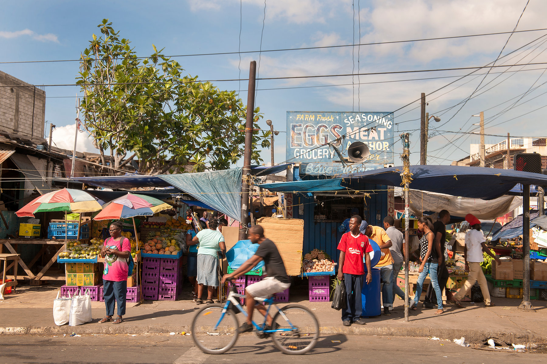 ceo-trending-unemployment-great-show-of-jamaica-s-resilience-times